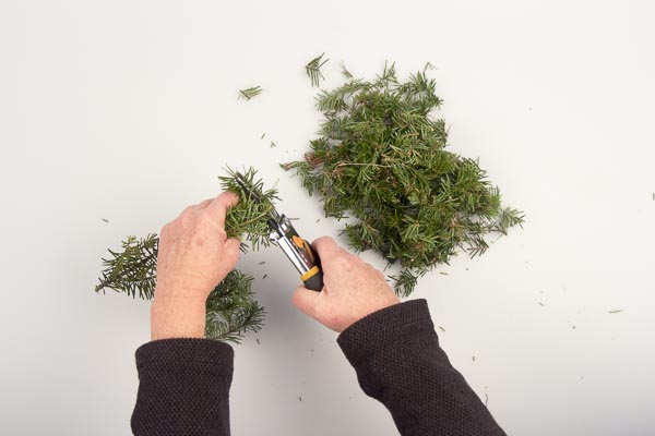 balsam_pillow_img_1967