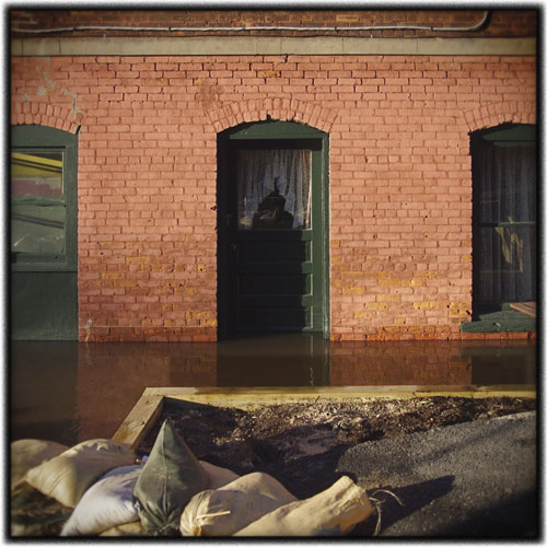 Why They Stay: Soaked, Shell-shocked and Still Here