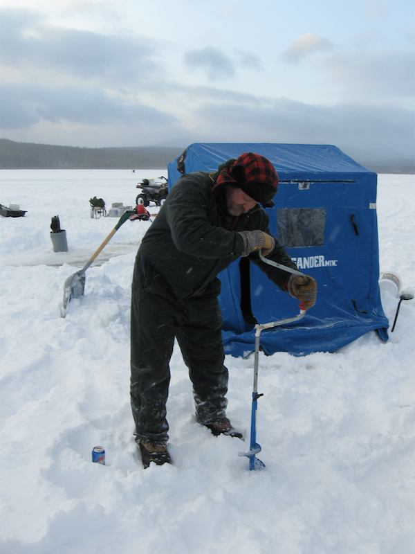 Will Freeze for Fish