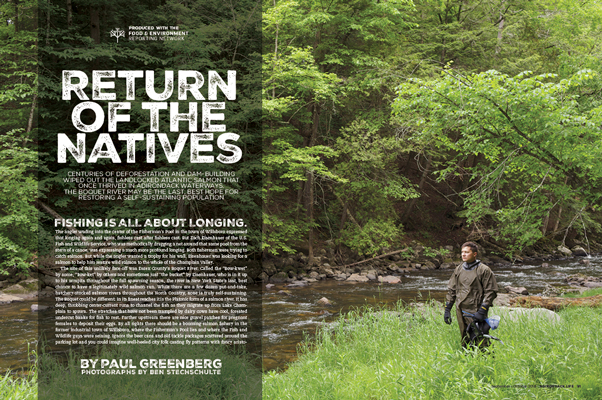 Return of the Natives