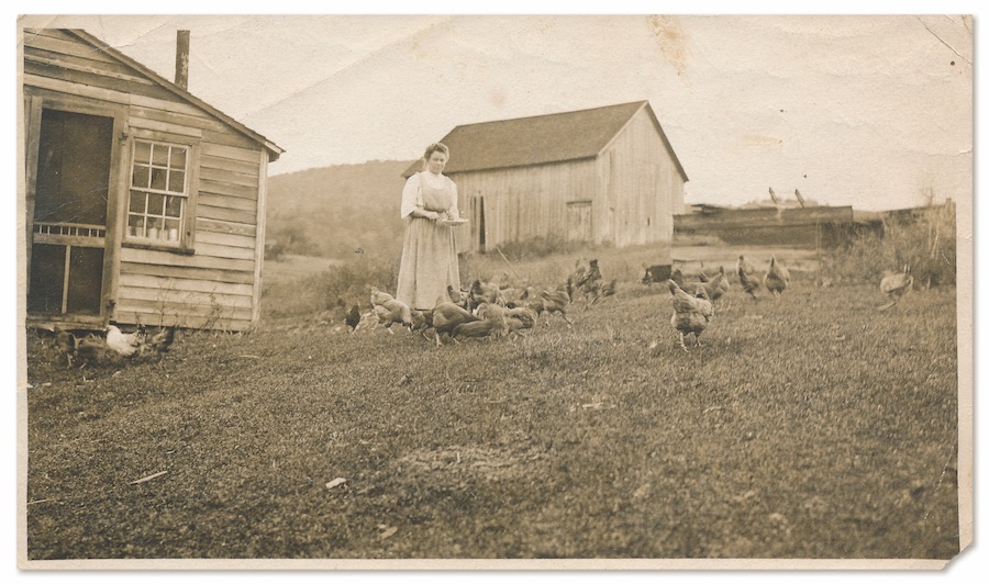 17-CoraDarlingChickensFront copy