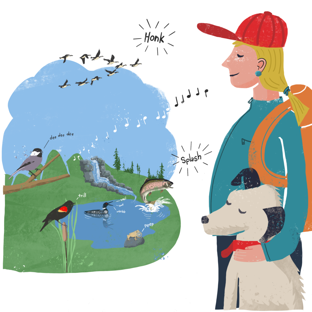 ADK-Listening_Hikes-1024×1024 Listening Tour