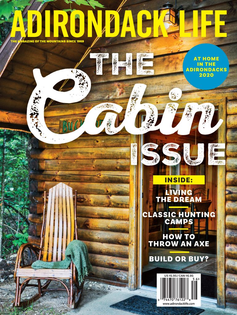 At Home in the Adirondacks 2020 Cover