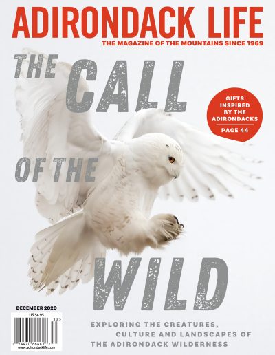 December 2020 Cover