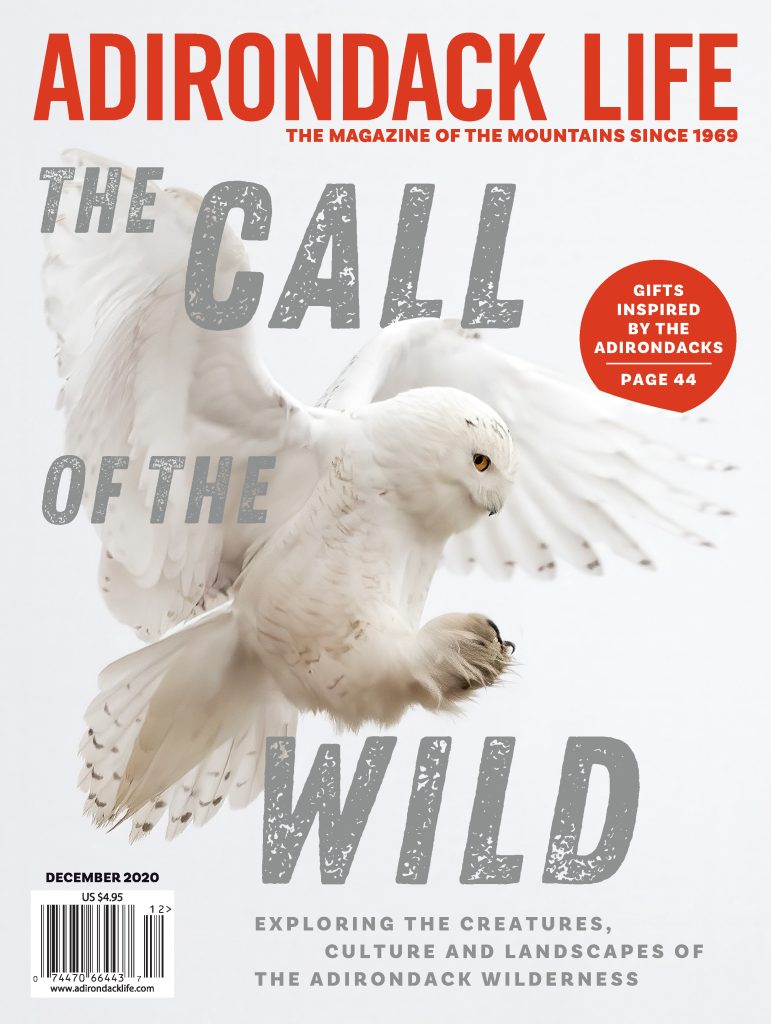 December 2020 Cover