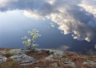 First Place | Early Morning Reflection | Putnam Pond | Bob Brand | Troy, New York