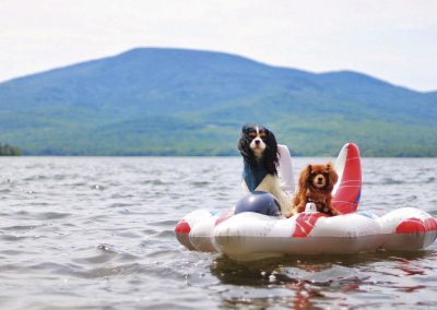 Second Place | Izzy and Finn Enjoying the Adirondack Life | Chazy Lake | Diane Couture | Saranac, New York
