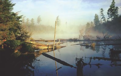 Photographer Nathan Farb at 80