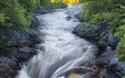 High Alert: Reading a River Can Save Your Life