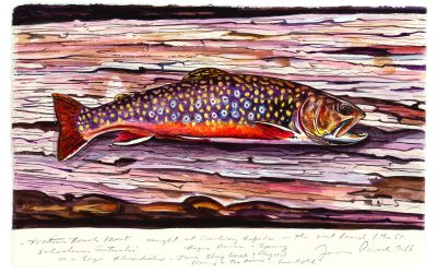 James Prosek on Representation in Art and Nature