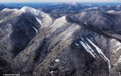Avalanche Safety 101