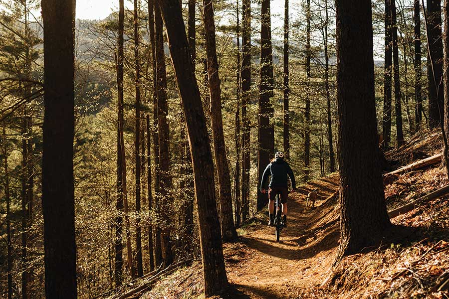 A Cut Above: Trail-Builder Luke Peduzzi