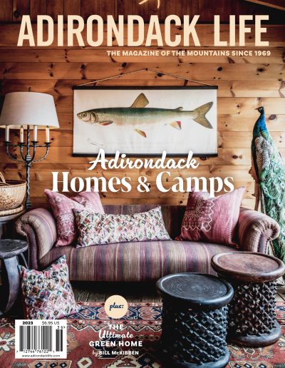 Adirondack Homes and Camps 2023 Cover