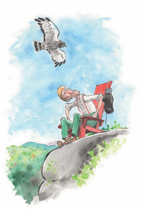 Tales from Coot Hill