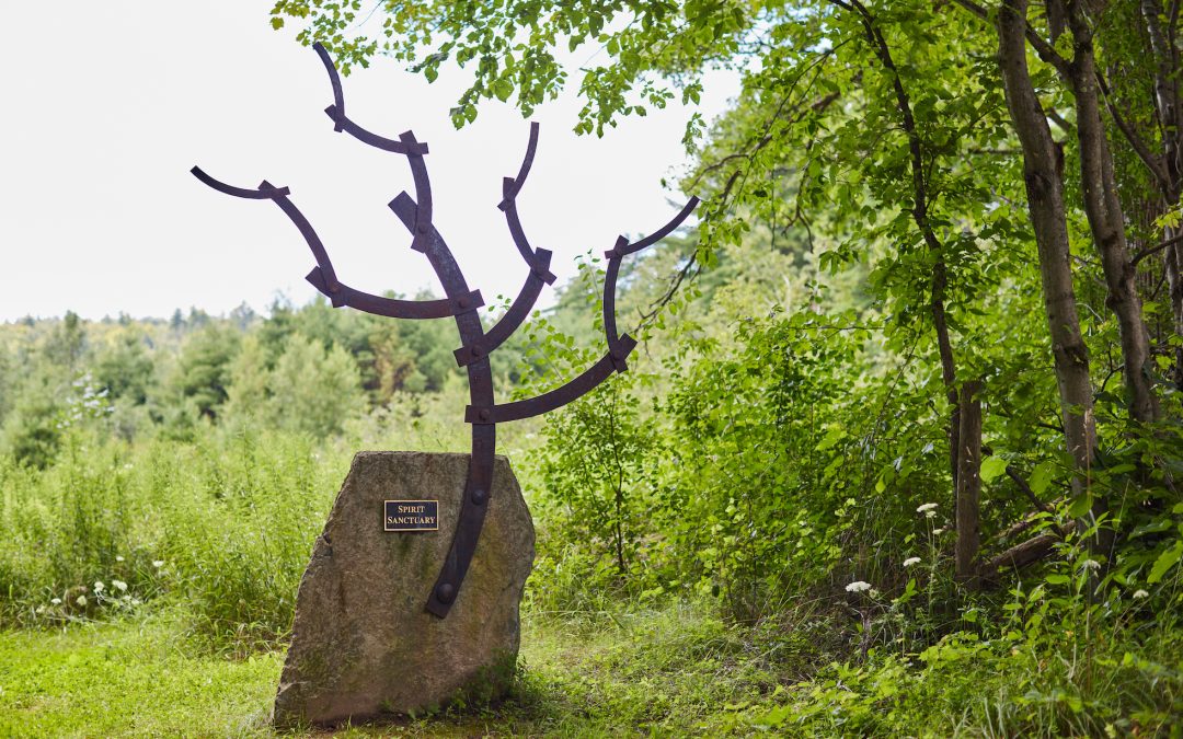 Staying Grounded: The Ecological and Emotional Benefits of Green Burial