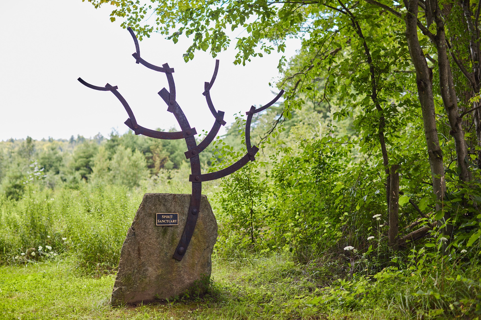 Staying Grounded: The Ecological and Emotional Benefits of Green Burial
