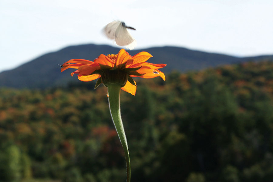 The Next Generation’s Take on the Adirondacks