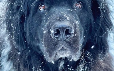 Awards Show: Our 2024 Photography Contest