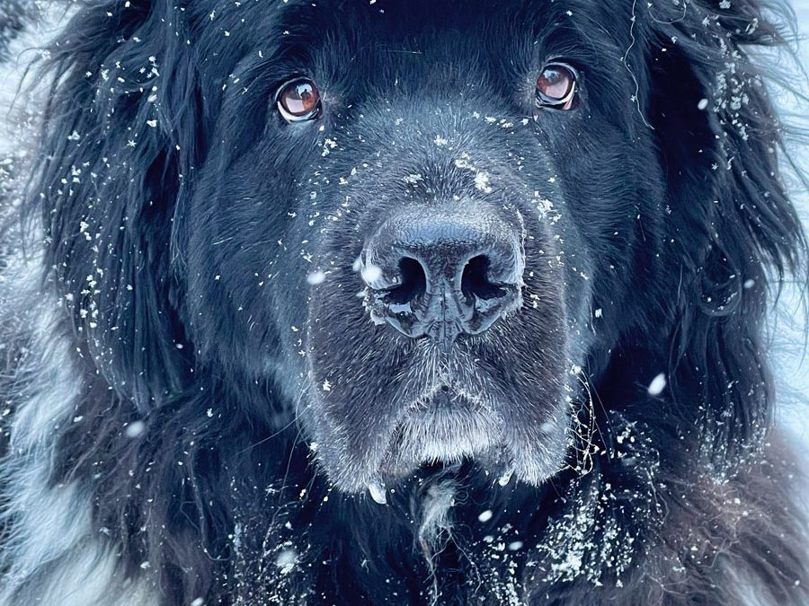 Awards Show: Our 2024 Photography Contest