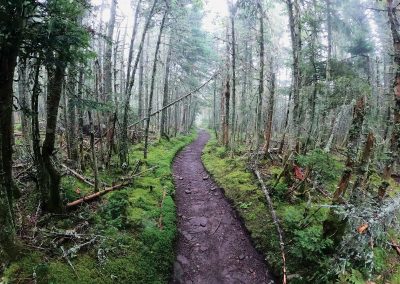 First Place Landscape | The Long and Lonely Trail | Van Hoevenberg trail | Eric Hillpot | Rochester, New York