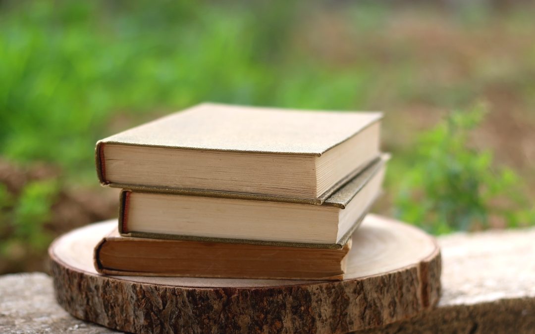 Adirondack Reads 2025: New Books of Regional Interest