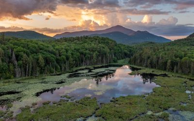 Blinded by the Light