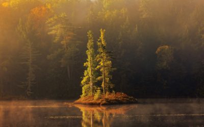 2025 Photography Contest Winners