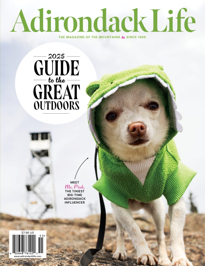 2025 Guide to the Great Outdoors Cover
