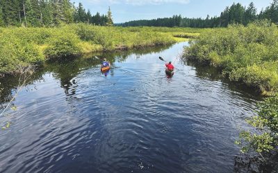 A Massawepie Paddle-Bike Combo
