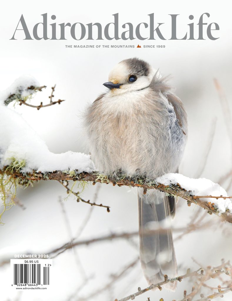 December 2025 Front Cover