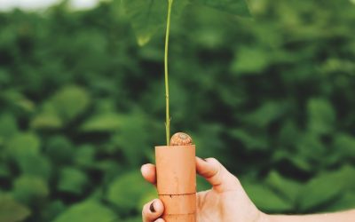 The River Fixers: How the Ausable Freshwater Center Is Healing a Critical Waterway