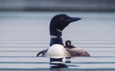 2026 Photography Contest Winners