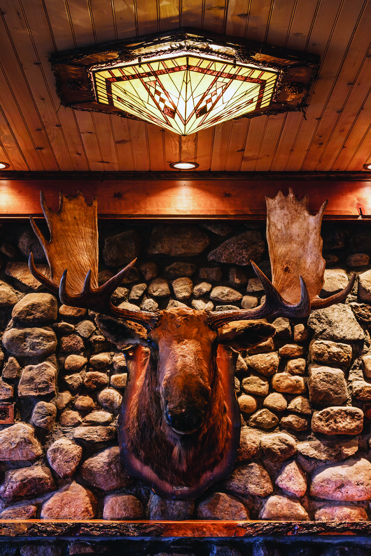 Meyda Lighting at Great PInes Resort Moose head and Meyda Tiffany-style lamp at Great Pines Resort.
